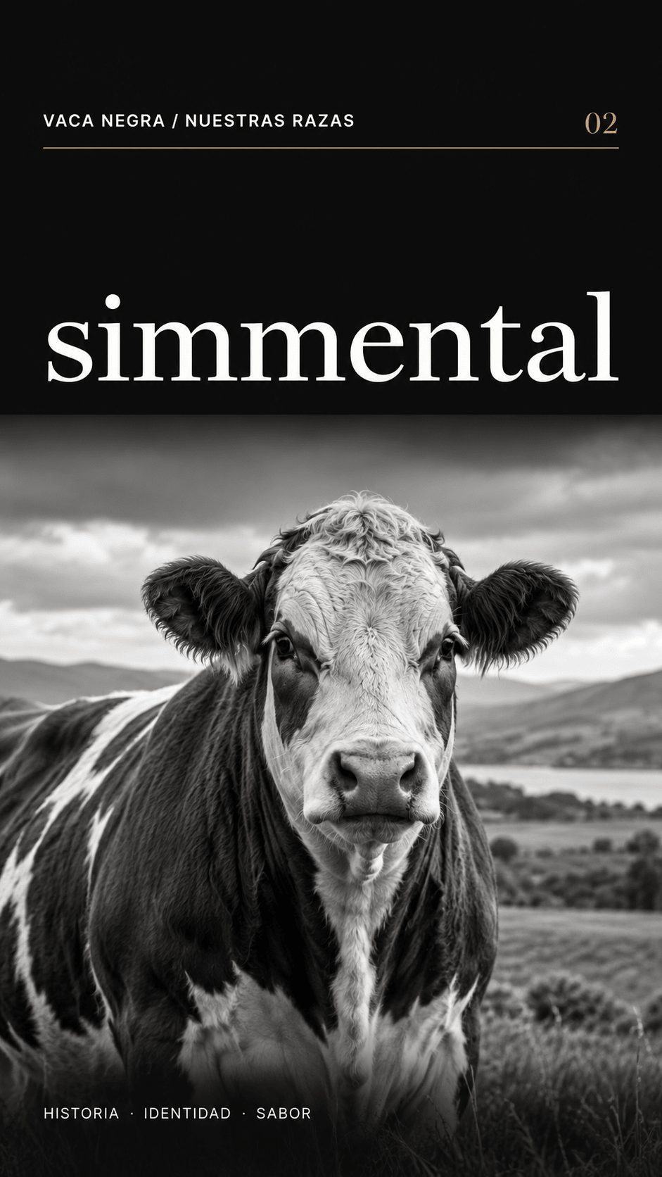 Chuletón Simmental - Vaca Negra