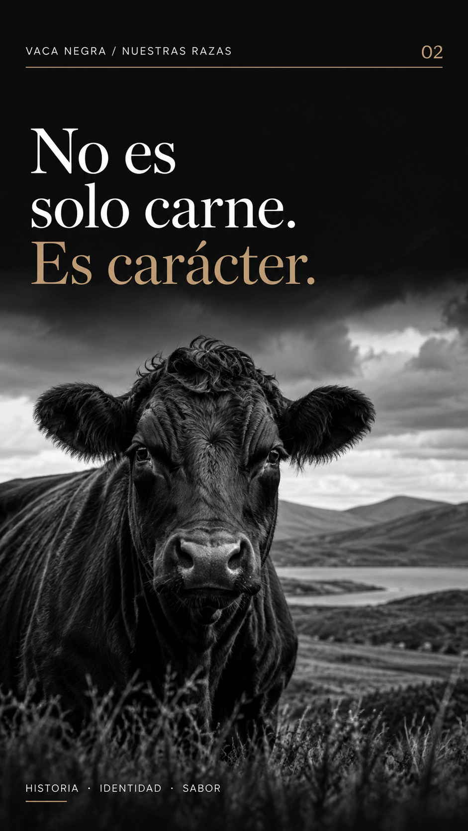 Chuletón Simmental - Vaca Negra