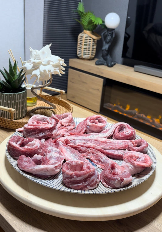 Lagarto Ibérico UNO DE NUESTROS PREFERIDOS - Vaca Negra